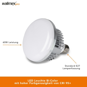 Walimex pro LED 60W Octagon Ø65cm Bi Color